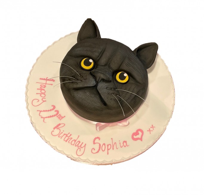 Cat Design Cake at Rs 600/pound | Theme Cake in Jaipur | ID: 22967993488