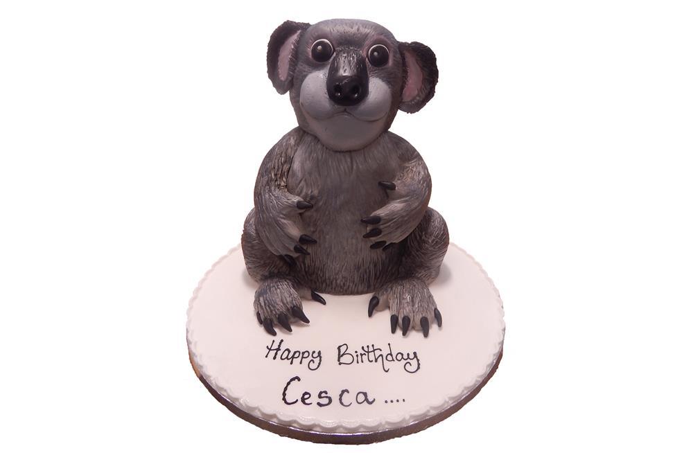 Party Koala Cake Kit | Bake Believe