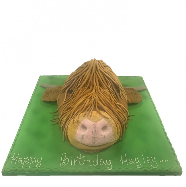 Highland Cow - Hamish - CakeCentral.com