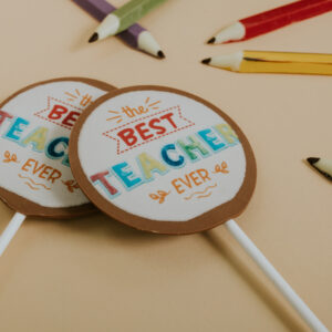 The Best Teacher Ever Chocolate lolly