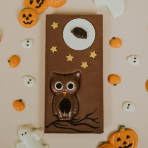 Large milk chocolate bar with Owl & Moon