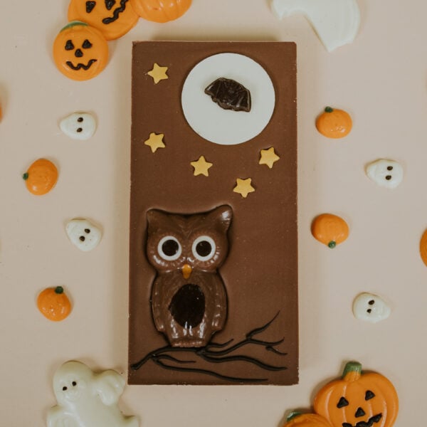 Large milk chocolate bar with Owl & Moon